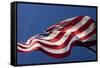 American Flag, Washington-Paul Souders-Framed Stretched Canvas