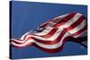 American Flag, Washington-Paul Souders-Stretched Canvas