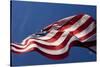 American Flag, Washington-Paul Souders-Stretched Canvas