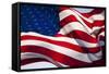 American Flag, Washington-null-Framed Stretched Canvas