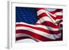 American Flag, Washington-null-Framed Photographic Print