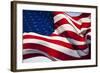 American Flag, Washington-null-Framed Photographic Print