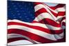 American Flag, Washington-null-Mounted Photographic Print