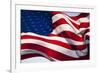 American Flag, Washington-null-Framed Photographic Print