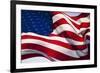 American Flag, Washington-null-Framed Photographic Print