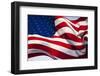 American Flag, Washington-null-Framed Photographic Print