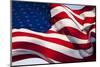 American Flag, Washington-null-Mounted Photographic Print