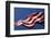 American Flag, Washington-Paul Souders-Framed Photographic Print