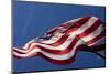 American Flag, Washington-Paul Souders-Mounted Photographic Print