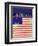 American Flag-Dominique Vari-Framed Art Print