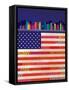 American Flag-Dominique Vari-Framed Stretched Canvas