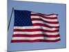 American Flag-null-Mounted Photographic Print