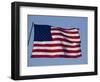 American Flag-null-Framed Photographic Print