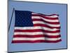 American Flag-null-Mounted Photographic Print