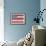 American Flag-Paul Brent-Framed Art Print displayed on a wall