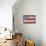 American Flag-Paul Brent-Mounted Art Print displayed on a wall