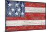 American Flag-Paul Brent-Mounted Premium Giclee Print