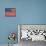 American Flag-Elizabeth Medley-Stretched Canvas displayed on a wall
