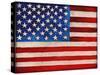 American Flag-Elizabeth Medley-Stretched Canvas