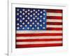 American Flag-Elizabeth Medley-Framed Art Print