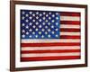 American Flag-Elizabeth Medley-Framed Art Print