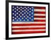 American Flag-Elizabeth Medley-Framed Art Print