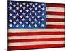 American Flag-Elizabeth Medley-Mounted Art Print