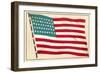 American Flag-null-Framed Art Print