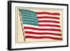 American Flag-null-Framed Art Print