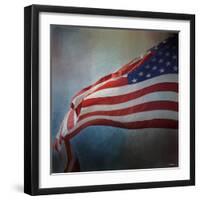 American Flag-Jai Johnson-Framed Premium Giclee Print