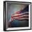 American Flag-Jai Johnson-Framed Premium Giclee Print