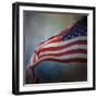 American Flag-Jai Johnson-Framed Premium Giclee Print