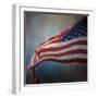 American Flag-Jai Johnson-Framed Premium Giclee Print