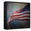 American Flag-Jai Johnson-Framed Stretched Canvas