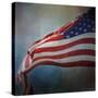 American Flag-Jai Johnson-Stretched Canvas