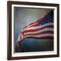 American Flag-Jai Johnson-Framed Giclee Print