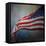 American Flag-Jai Johnson-Framed Stretched Canvas