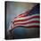 American Flag-Jai Johnson-Stretched Canvas