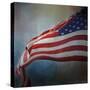 American Flag-Jai Johnson-Stretched Canvas