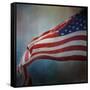 American Flag-Jai Johnson-Framed Stretched Canvas