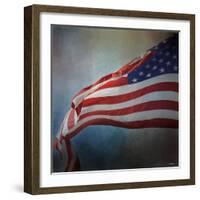 American Flag-Jai Johnson-Framed Giclee Print