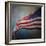 American Flag-Jai Johnson-Framed Giclee Print