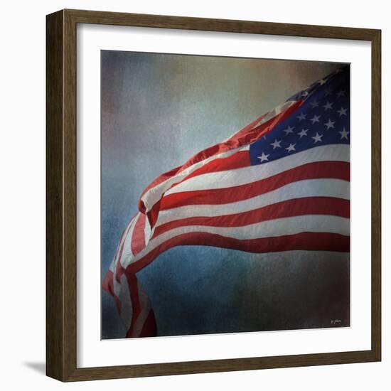 American Flag-Jai Johnson-Framed Giclee Print