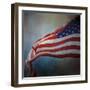 American Flag-Jai Johnson-Framed Giclee Print