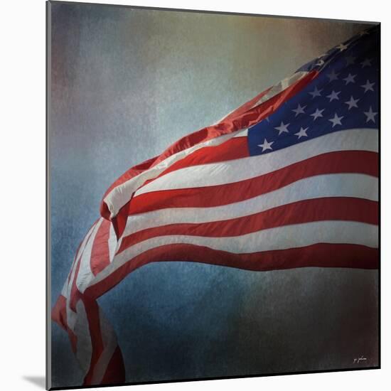 American Flag-Jai Johnson-Mounted Giclee Print