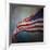 American Flag-Jai Johnson-Framed Giclee Print