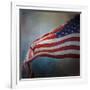 American Flag-Jai Johnson-Framed Giclee Print
