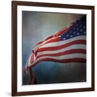 American Flag-Jai Johnson-Framed Giclee Print