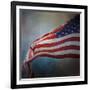 American Flag-Jai Johnson-Framed Giclee Print