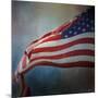 American Flag-Jai Johnson-Mounted Giclee Print